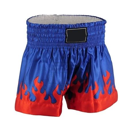 MMA Training Shorts